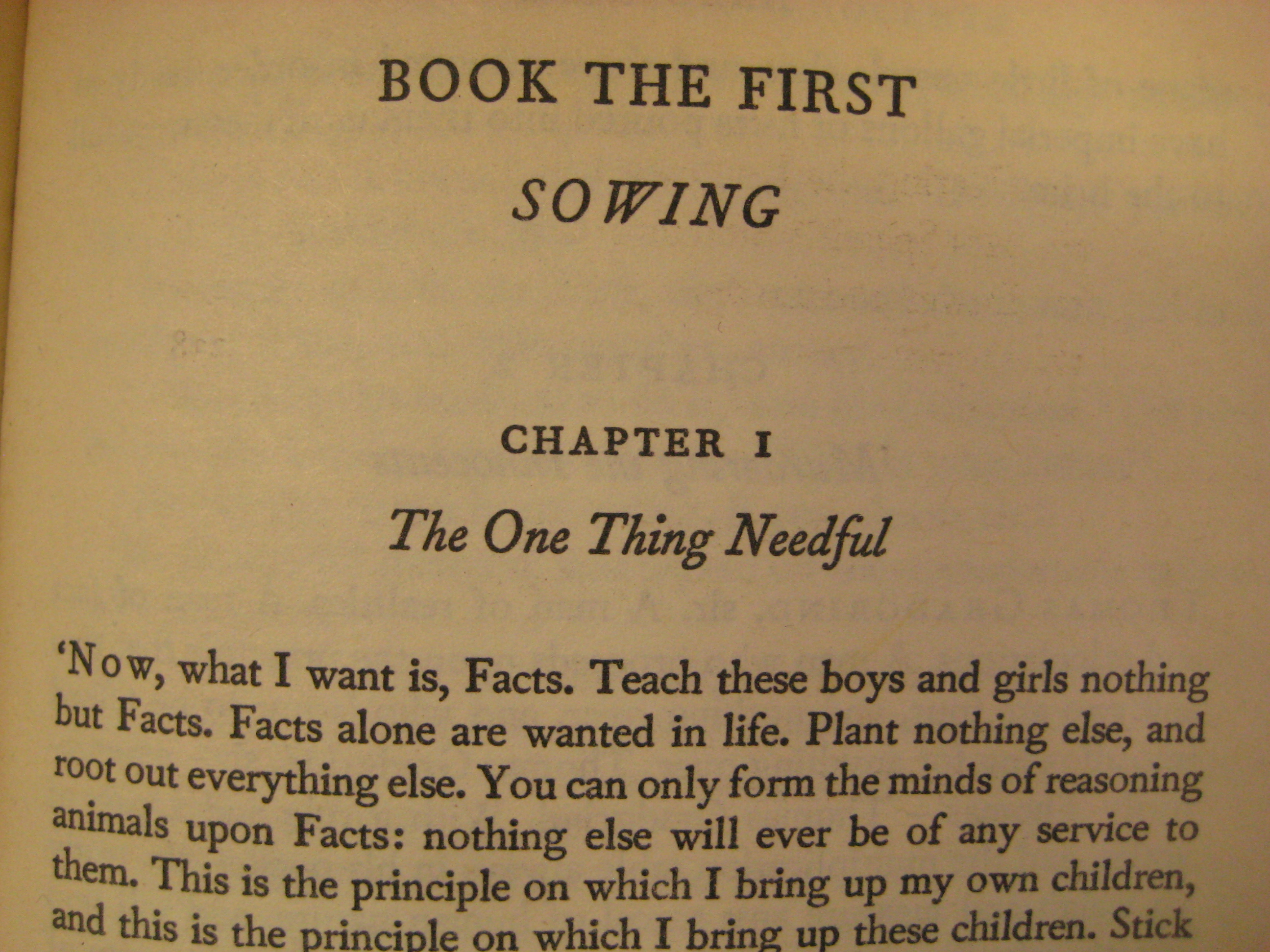 First Lines of Famous Novels, The Blog